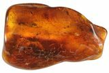 Detailed Fossil Male Oak Flower In Baltic Amber #93866-1